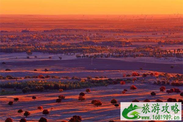 代钦塔拉有什么好玩的 代钦塔拉有什么好玩的