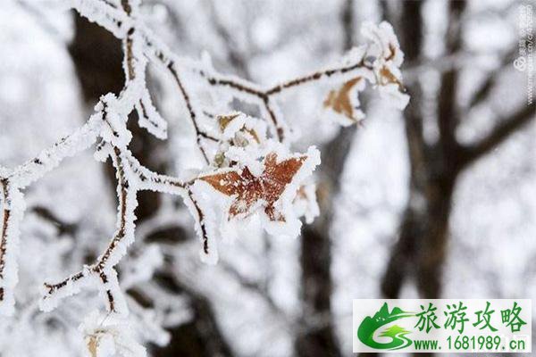 代钦塔拉有什么好玩的 代钦塔拉有什么好玩的