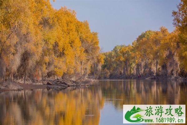 塔里木胡杨林最佳参观时间是什么时候