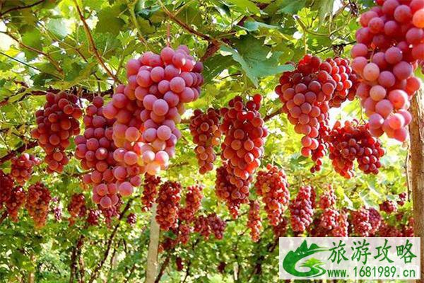 吐鲁番三日游玩攻略 线路绘规划 吐鲁番三日游玩攻略 线路绘规划