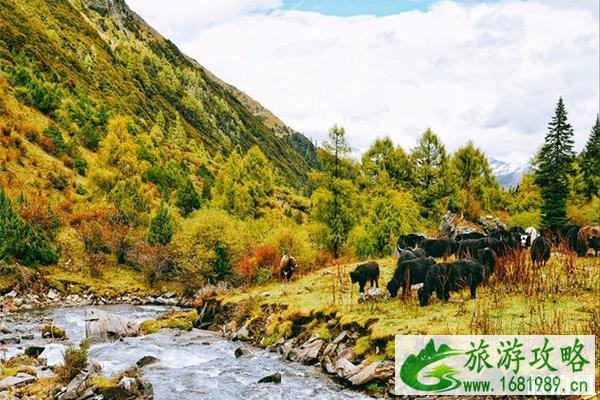 玛嘉沟景区不可错过的美景 玛嘉沟游玩攻略 玛嘉沟景区不可错过的美景 玛嘉沟游玩攻略