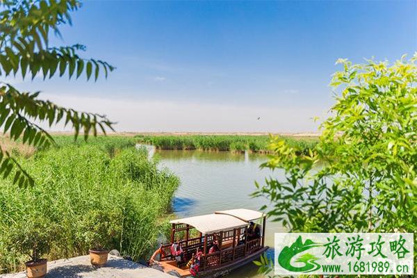 沙湖观鸟什么时候去最好 什么时候去沙湖最好
