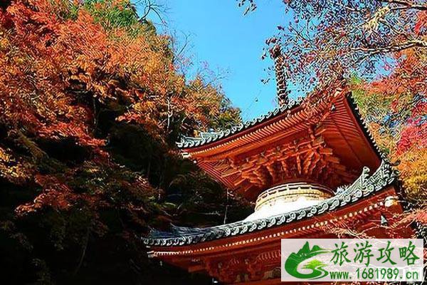 2022日本关西红叶预测+观赏攻略