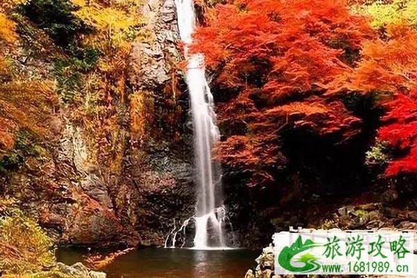 2022日本关西红叶预测+观赏攻略