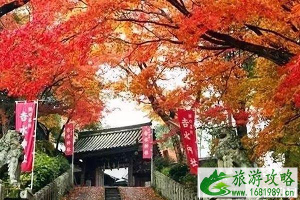 2022日本关西红叶预测+观赏攻略
