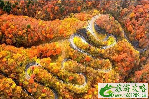 2022年日本关东红叶预测+观赏地点推荐 2022年日本关东红叶预测+观赏地点推荐