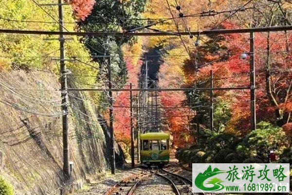 2022年日本关东红叶预测+观赏地点推荐 2022年日本关东红叶预测+观赏地点推荐