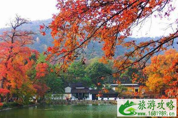 江浙赏枫叶地点推荐+门票