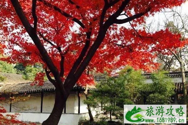 江浙赏枫叶地点推荐+门票