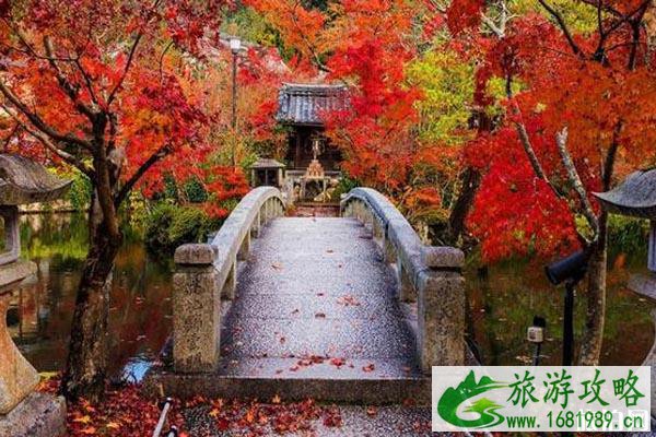 2022日本近畿地区红叶观赏时间+地点+门票+交通