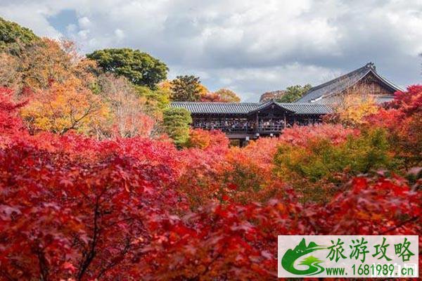 2022日本近畿地区红叶观赏时间+地点+门票+交通