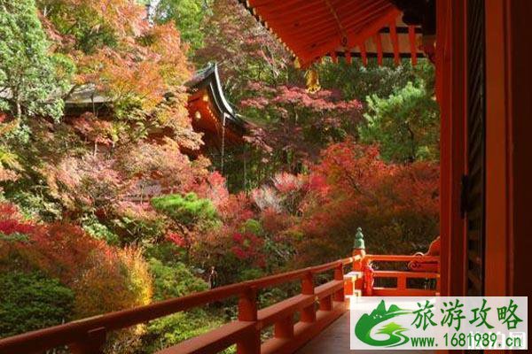 2022日本近畿地区红叶观赏时间+地点+门票+交通