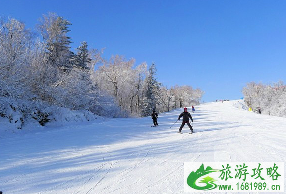 亚布力滑雪场什么时候开放 亚布力有几个雪场