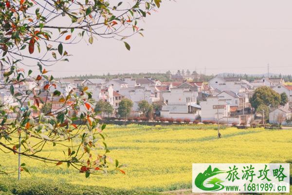 高淳在哪里 高淳有什么景点