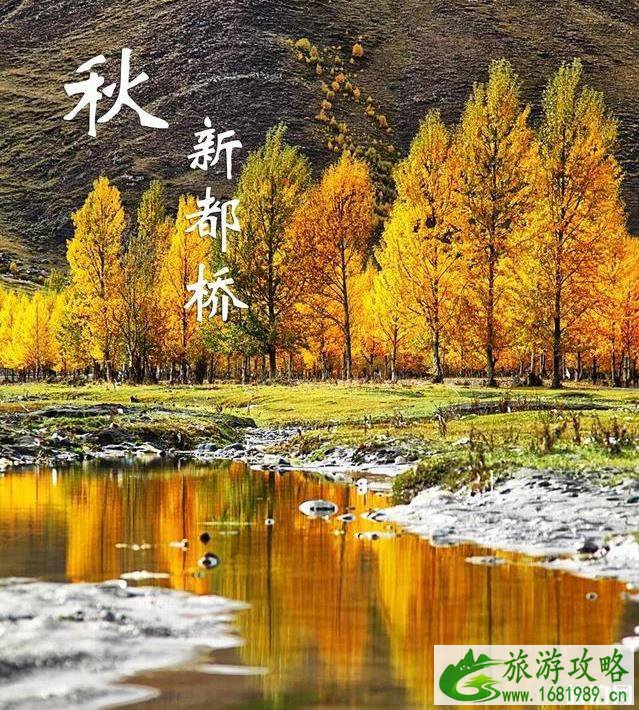 最适合秋天旅游的景点有哪些