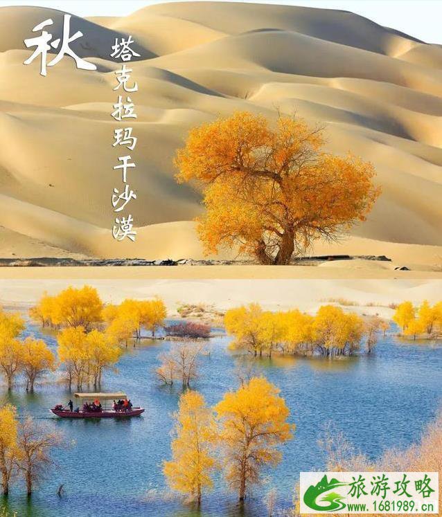 最适合秋天旅游的景点有哪些