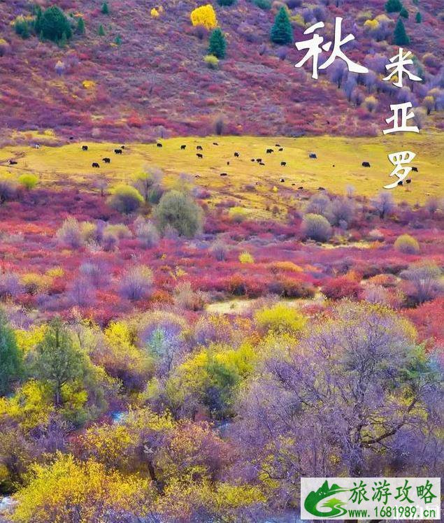 最适合秋天旅游的景点有哪些