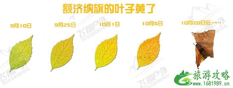 额济纳旗胡杨林几月去合适 额济纳旗有哪些景点 额济纳旗胡杨林几月去合适 额济纳旗有哪些景点