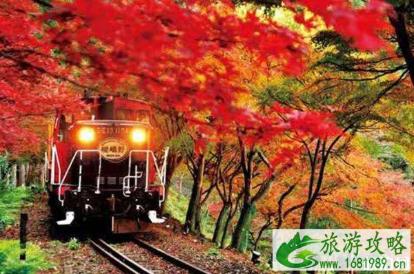 京都红叶季2022 京都红叶什么时间最美 京都红叶季2022 京都红叶什么时间最美