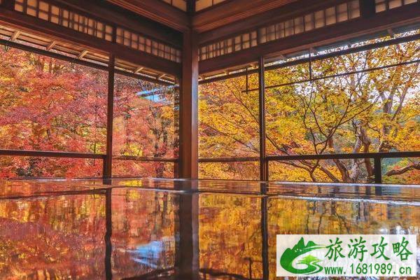 京都赏枫叶最佳地点 京都赏枫叶的寺庙推荐 京都赏枫叶最佳地点 京都赏枫叶的寺庙推荐