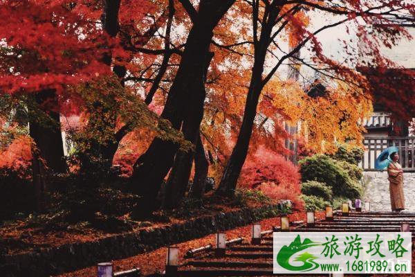 京都赏枫叶最佳地点 京都赏枫叶的寺庙推荐 京都赏枫叶最佳地点 京都赏枫叶的寺庙推荐