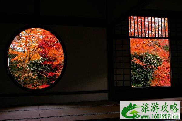 京都赏枫叶最佳地点 京都赏枫叶的寺庙推荐 京都赏枫叶最佳地点 京都赏枫叶的寺庙推荐