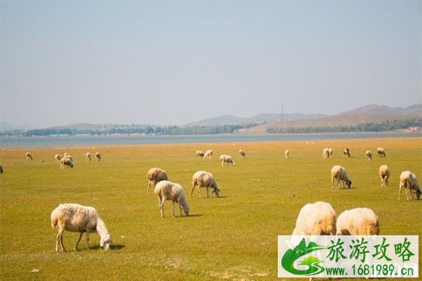 崇礼周边有哪些热门景点 崇礼周边有哪些热门景点