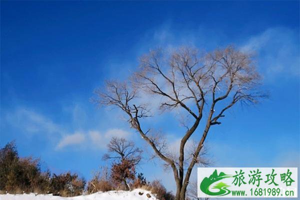 崇礼富龙滑雪场好玩吗 门票多少钱 崇礼富龙滑雪场好玩吗 门票多少钱