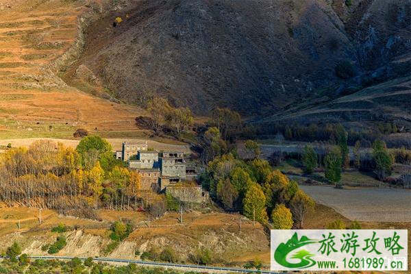 稻城秋天摄影技巧+注意事项 稻城秋天摄影技巧+注意事项