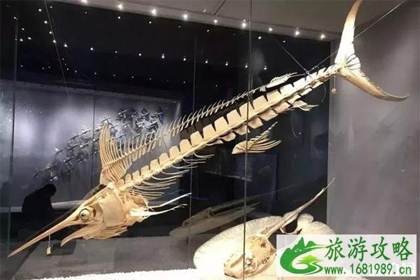 国家海洋博物馆有几个展厅 国家海洋博物馆有几个展厅