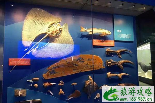国家海洋博物馆有几个展厅 国家海洋博物馆有几个展厅