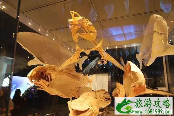 国家海洋博物馆有几个展厅 国家海洋博物馆有几个展厅