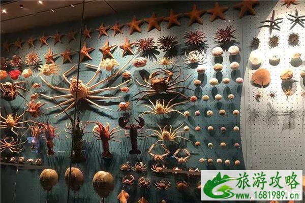 国家海洋博物馆有几个展厅 国家海洋博物馆有几个展厅