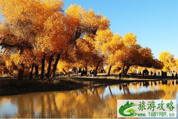 额济纳旗经典旅游线路推荐