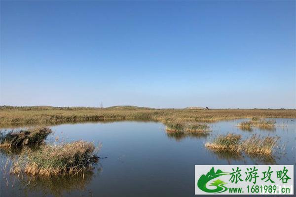 沧州周边有哪些小众景点