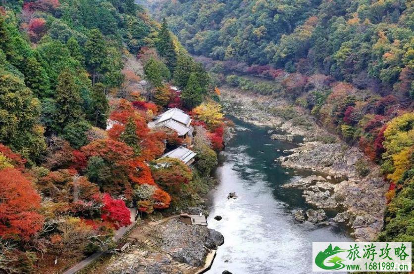 2022日本赏枫叶的最佳季节+最佳地方