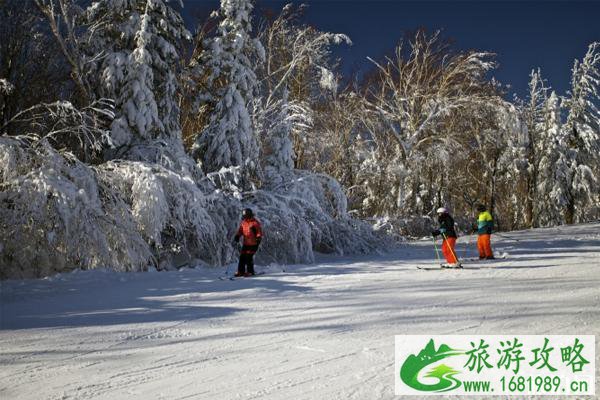 亚布力滑雪场推荐