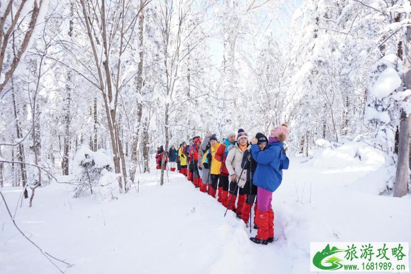 雪乡有什么特色玩法 雪乡有什么特色玩法