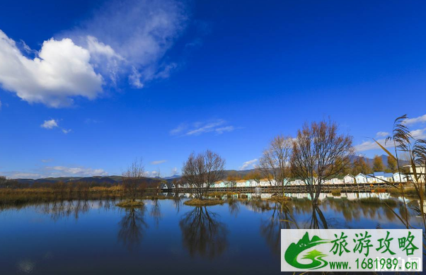 拉市海马场游玩注意事项 拉市海马场游玩注意事项