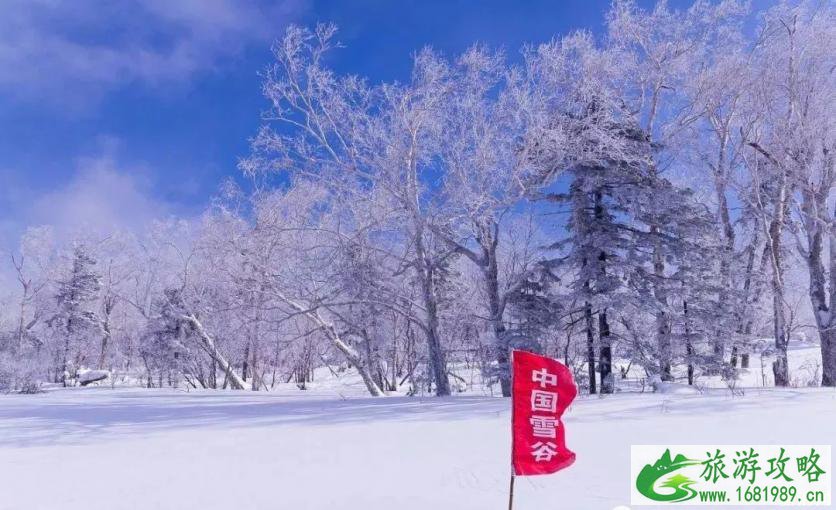 雪谷在哪里 雪谷有什么好玩的