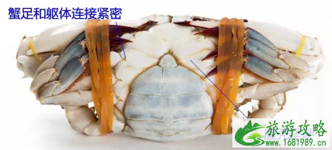 2022渤海湾开海时间 海鲜挑选攻略