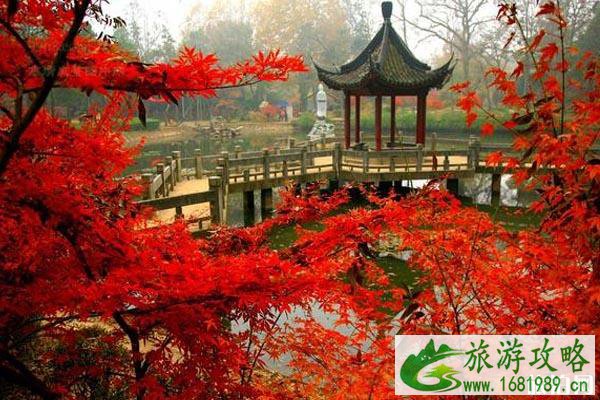 国内赏枫的地方有哪些不错
