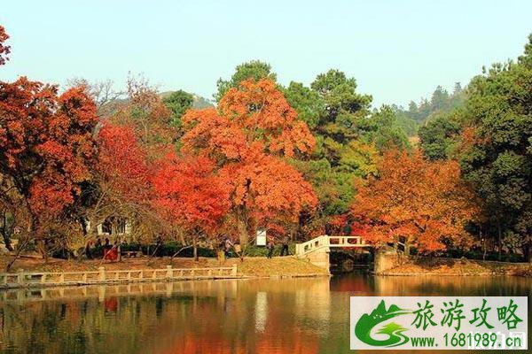 国内赏枫的地方有哪些不错