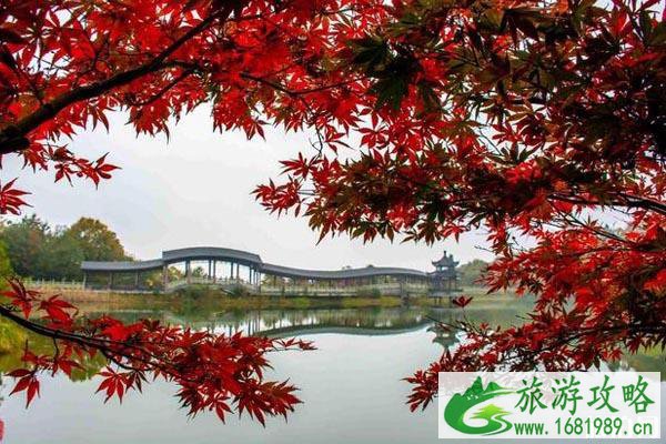 国内赏枫的地方有哪些不错