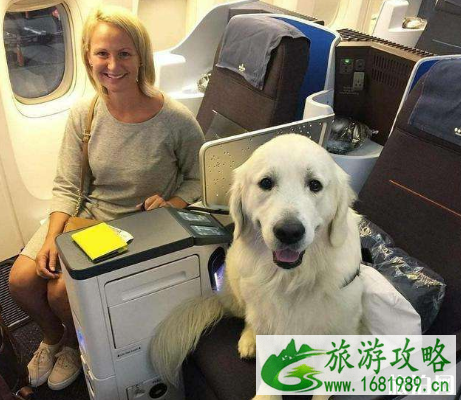 坐飞机可以带宠物狗吗 坐飞机宠物托运流程
