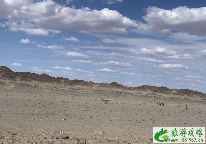 南疆自驾游攻略和路线 最新 南疆自驾游攻略和路线 最新