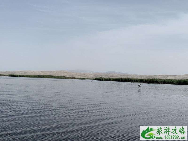 南疆自驾游攻略和路线 最新 南疆自驾游攻略和路线 最新