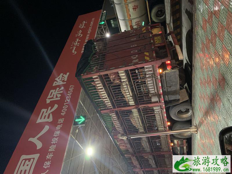 南疆自驾游攻略和路线 最新 南疆自驾游攻略和路线 最新