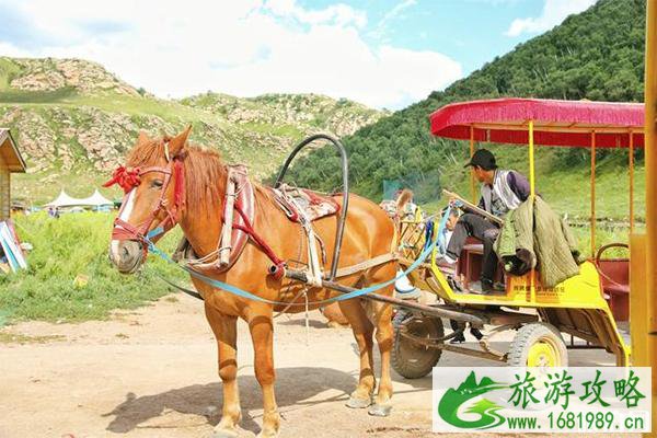 内蒙黄花沟好玩吗 交通路线指南