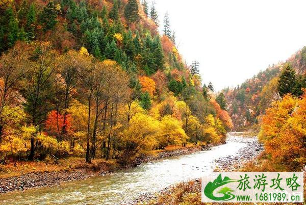 川西有哪些适合秋季赏枫叶的地方 川西有哪些适合秋季赏枫叶的地方